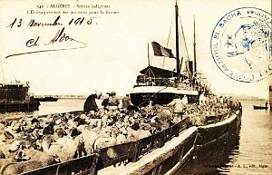 295- Algerie - Embarquement des moutons